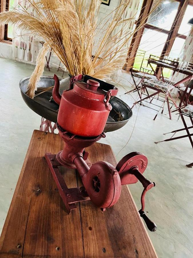 Camp Lands End Hotel Pushkar Buitenkant foto