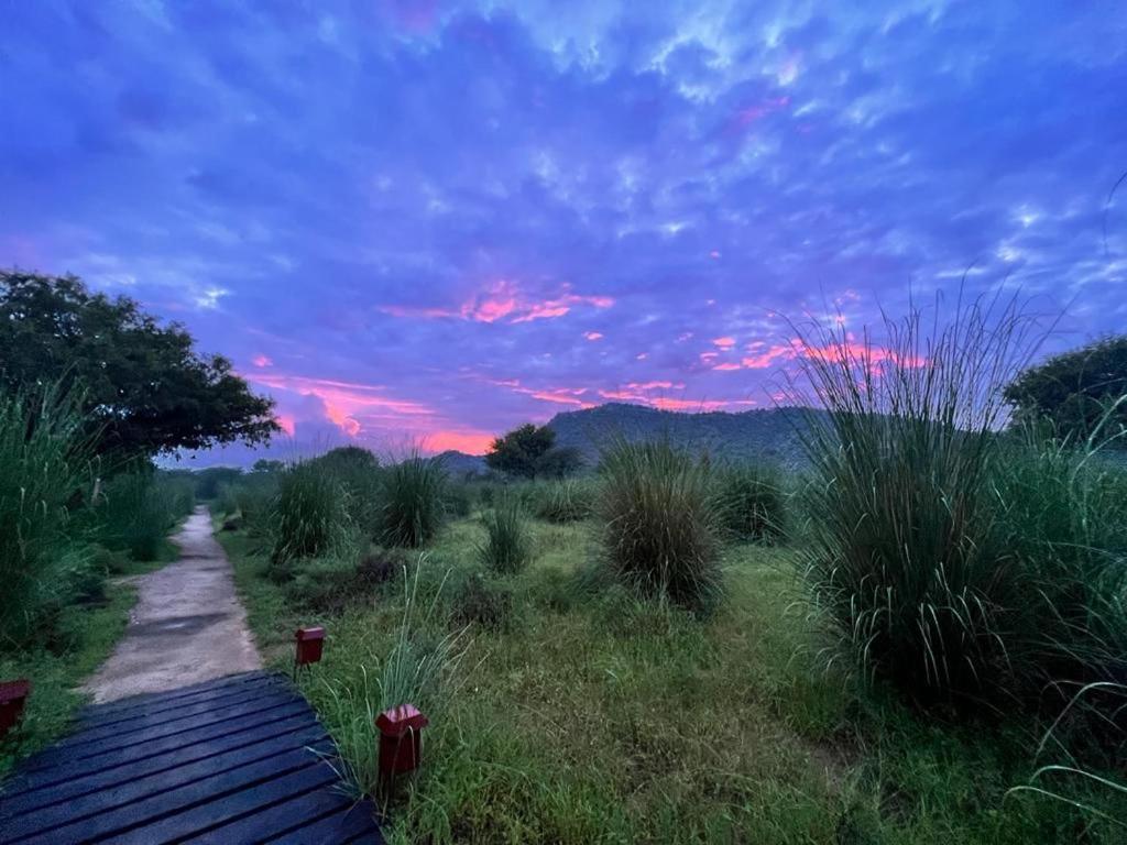 Camp Lands End Hotel Pushkar Buitenkant foto
